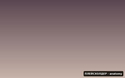 Анатомия йоги: строение тела и биомеханика асан